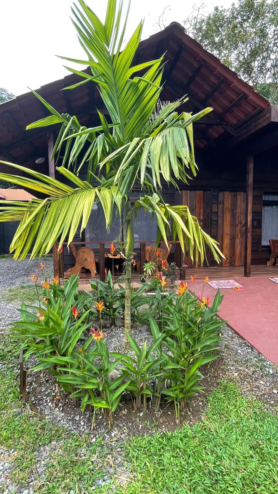 La Fortuna Waterfall Bungalows Exterior photo